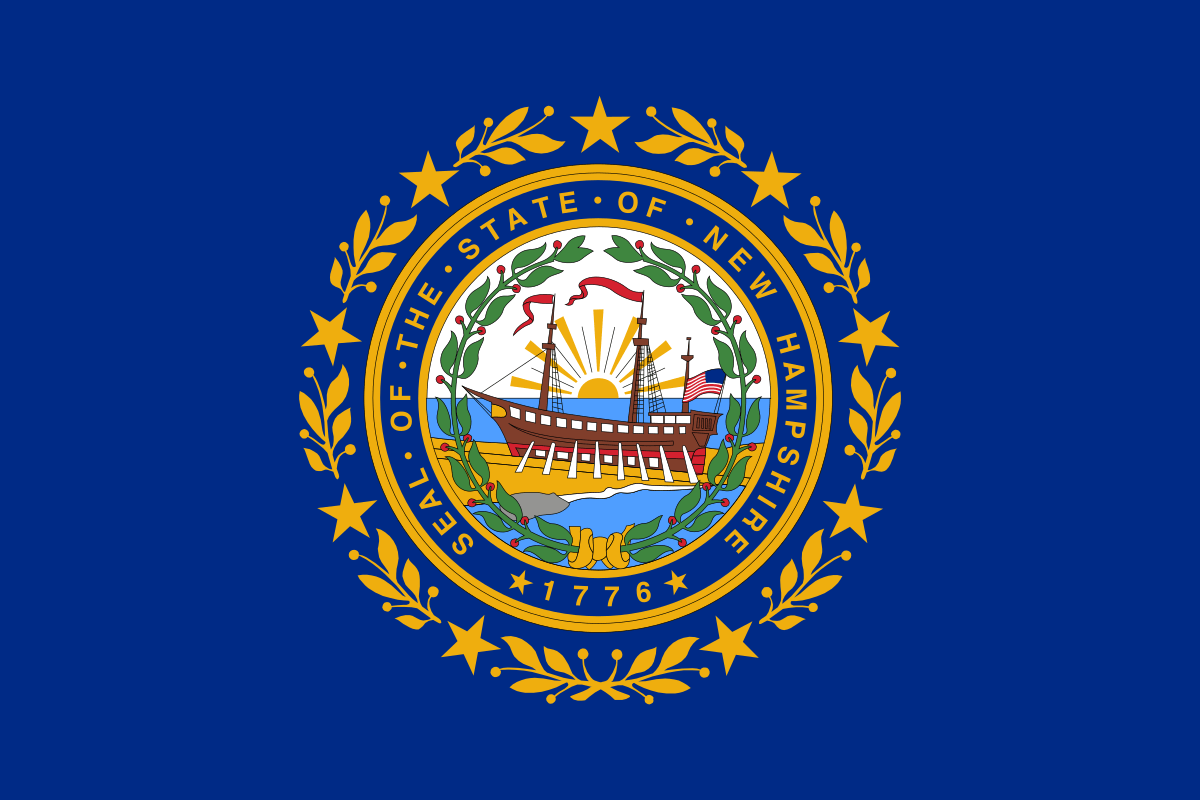 Too Local News – Pushing Back on the NH Governor – Week of Feb 22nd through 26th, 2021